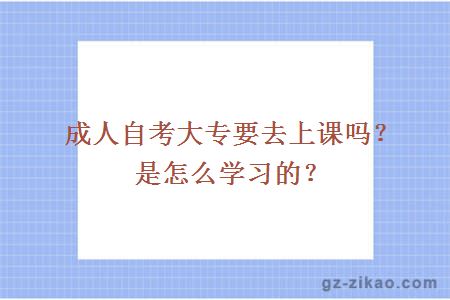 成人自考大專(zhuān)要去上課嗎？是怎么學(xué)習的？