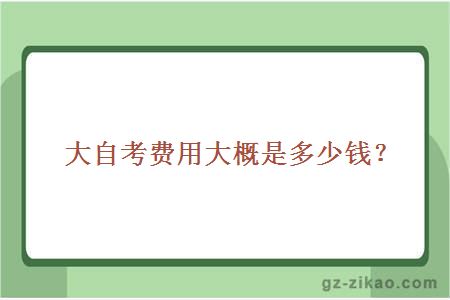大自考費用大概是多少錢(qián)？