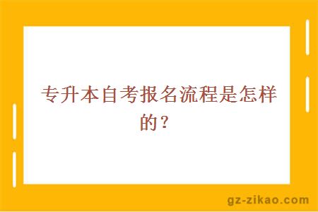 專(zhuān)升本自考報名流程是怎樣的？