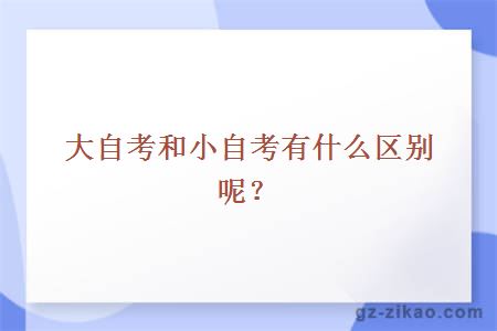 大自考和小自考有什么區別呢？