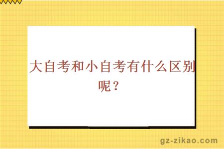 大自考和小自考有什么區別？