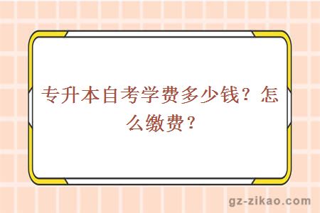 專(zhuān)升本自考學(xué)費多少錢(qián)？怎么繳費？
