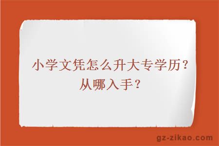 小學(xué)文憑怎么升大專(zhuān)學(xué)歷？從哪入手？