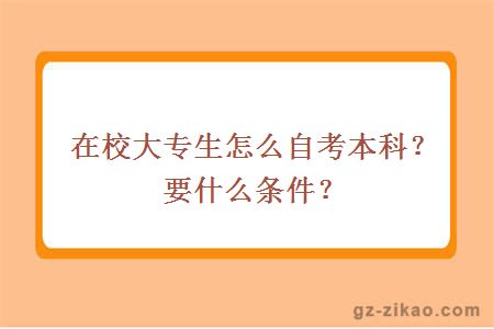 在校大專(zhuān)生怎么自考本科？要什么條件？