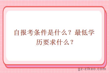 自報考條件是什么？最低學(xué)歷要求什么？