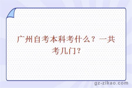 廣州自考本科考什么？一共考幾門(mén)？