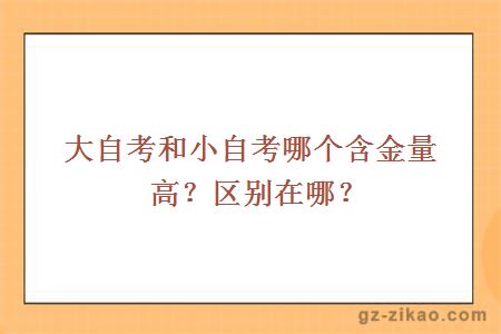 大自考和小自考哪個(gè)含金量高？區別在哪？