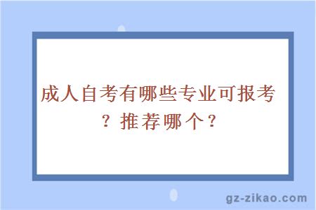 成人自考有哪些專(zhuān)業(yè)可報考？推薦哪個(gè)？