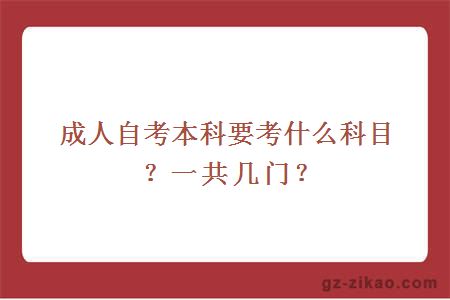 成人自考本科要考什么科目？一共幾門(mén)？