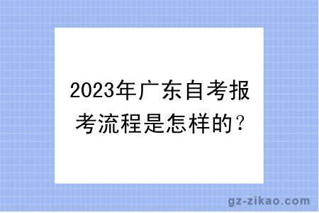 2023年廣東自考報考流程是怎樣的？