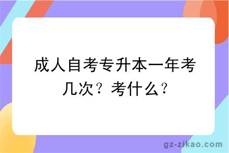成人自考專(zhuān)升本一年考幾次？考什么？