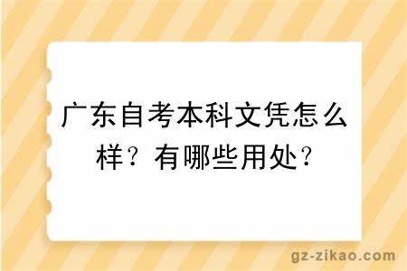 廣東自考本科文憑怎么樣？有哪些用處？