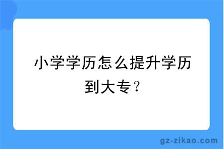 小學(xué)學(xué)歷怎么提升學(xué)歷到大專(zhuān)？