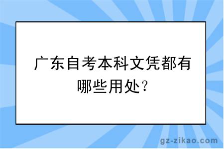 廣東自考本科文憑都有哪些用處？