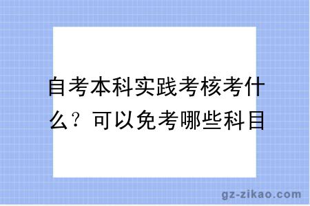 自考本科實(shí)踐考核考什么？可以免考哪些科目