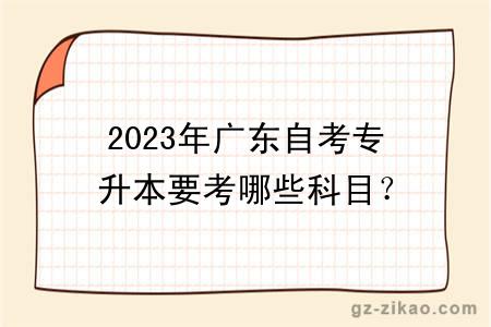 2023年廣東自考專(zhuān)升本要考哪些科目？