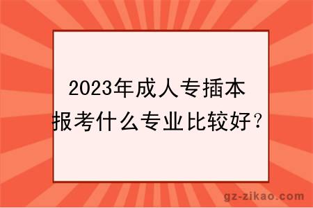 2023年成人專(zhuān)插本報考什么專(zhuān)業(yè)比較好？