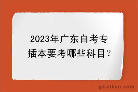2023年廣東自考專(zhuān)插本要考哪些科目？