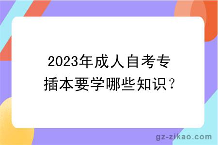 2023年成人自考專(zhuān)插本要學(xué)哪些知識？