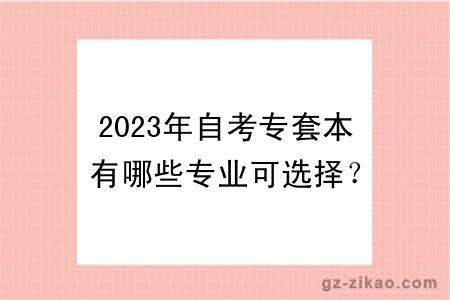 2023年自考專(zhuān)套本有哪些專(zhuān)業(yè)可選擇？