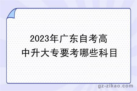 2023年廣東自考高中升大專(zhuān)要考哪些科目？