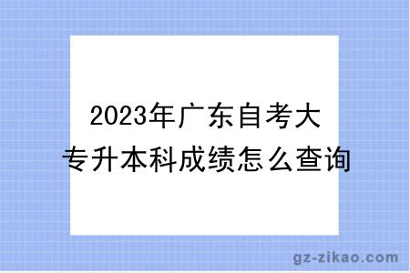 2023年廣東自考大專(zhuān)升本科成績(jì)怎么查詢(xún)？不及格有影響嗎？
