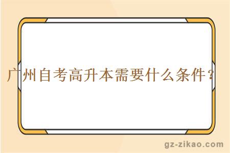 廣州自考高升本需要什么條件？