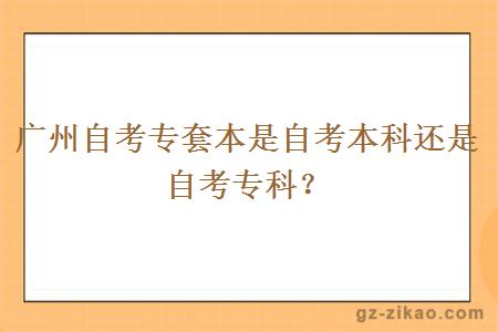 廣州自考專(zhuān)套本是自考本科還是自考專(zhuān)科？