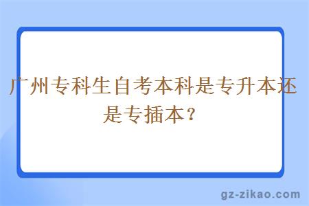 廣州專(zhuān)科生自考本科是專(zhuān)升本還是專(zhuān)插本？