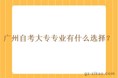 廣州自考大專(zhuān)專(zhuān)業(yè)有什么選擇？