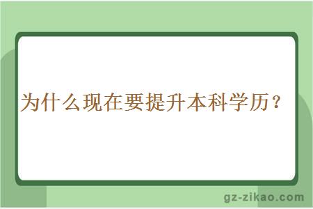 為什么現在要提升本科學(xué)歷？