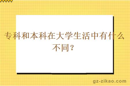 專(zhuān)科和本科在大學(xué)生活中有什么不同？