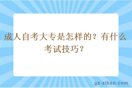 成人自考大專(zhuān)是怎樣的？有什么考試技巧？