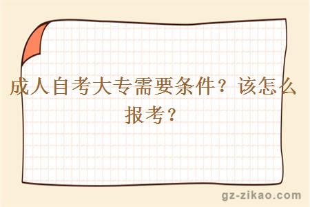 成人自考大專(zhuān)需要條件？該怎么報考？