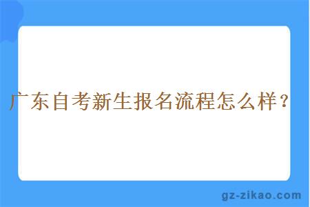 廣東自考新生報名流程怎么樣？