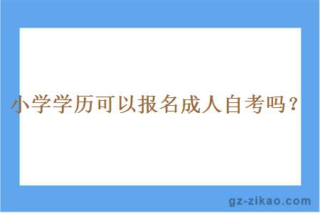 小學(xué)學(xué)歷可以報名成人自考嗎？