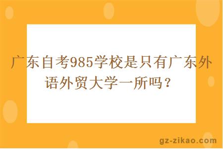 廣東自考985學(xué)校是只有廣東外語(yǔ)外貿大學(xué)一所嗎？