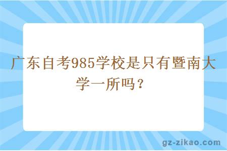 廣東自考985學(xué)校是只有暨南大學(xué)一所嗎？