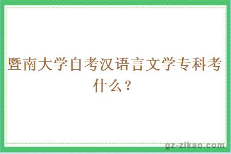 暨南大學(xué)自考漢語(yǔ)言文學(xué)專(zhuān)科考什么？