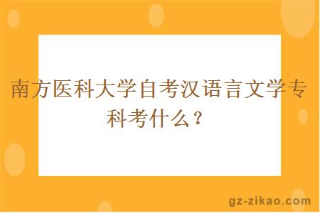 南方醫科大學(xué)自考漢語(yǔ)言文學(xué)專(zhuān)科考什么？