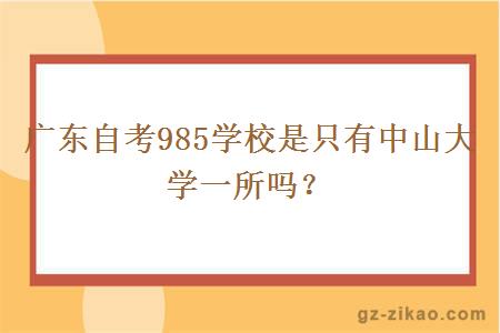 廣東自考985學(xué)校是只有中山大學(xué)一所嗎？